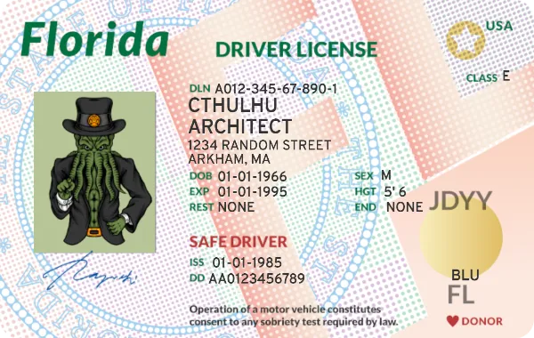 Florida Identity Card handout template