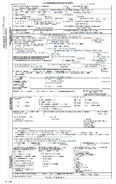 US Standard Certificate of Death handout template