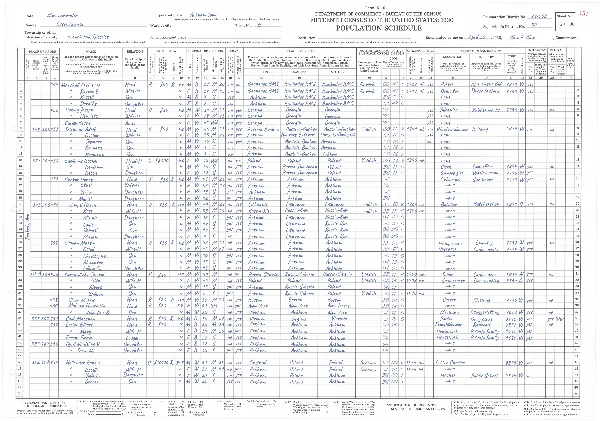Census Report handout template