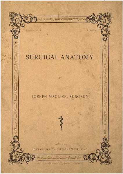 Surgical Anatomy handout template