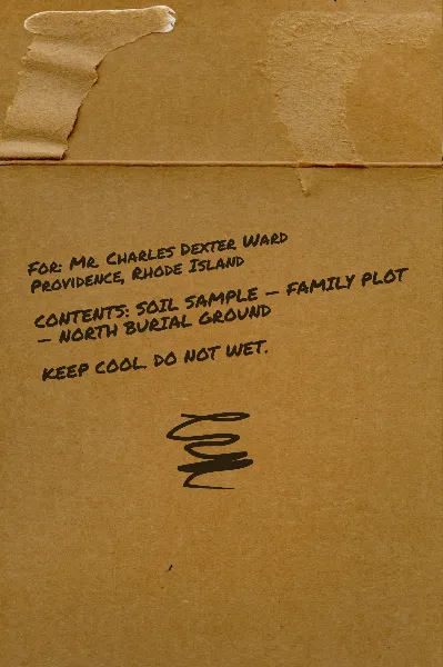 Cardboard Box 2 handout template